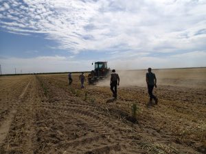 انواع روش های عملیات خاکورزی