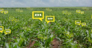 کاربرد حسگرها در کشاورزی دقیق