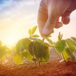 اشتباهات رایج کشاورزان کدامند؟ چگونه آنها را به حداقل برسانیم؟