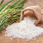 انواع روش های عملیات خاکورزی