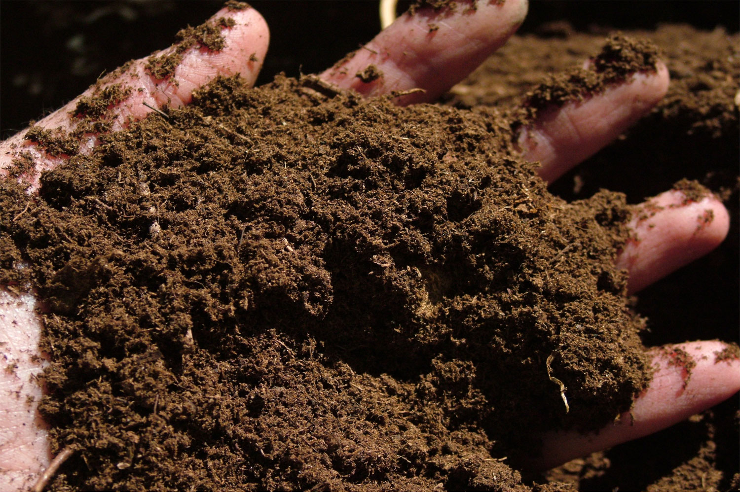 Гумус придает почве какой. Торф Торфяная почва. Торфяной субстрат гумус. Торф и сапропель. Торф верховой сфагнум.