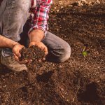 انواع خاک؛ کدام خاک برای کدام گیاه مناسب تر است؟