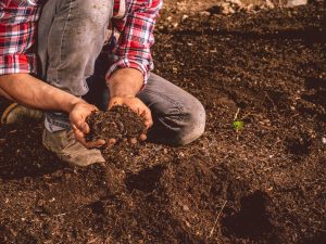 انواع خاک؛ کدام خاک برای کدام گیاه مناسب تر است؟