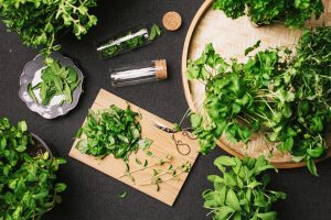 پرورش گیاهان دارویی- راهنمای کامل