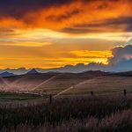 انتخاب روش آبیاری محصولات کشاورزی