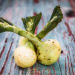 آفت مینوز مرکبات ؛ راهنمای مقابله و پیشگیری