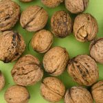 آفت و بیماری گردو