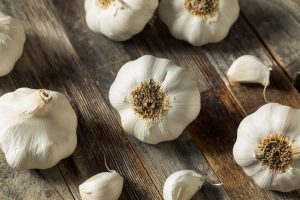 راهنمای کامل پرورش سیر