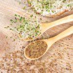 آینده کشاورزی جهان چیست؟