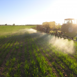 مبارزه با کرم پیله خوار نخود