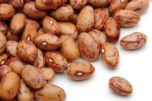 کاشت لوبیا چیتی