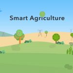 روش کاشت توت فرنگی (راهنمای کامل)