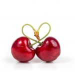 مقابله با آفت مگس گیلاس