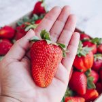 ملخ صحرایی چیست؟ چطور آن را کنترل و پیش بینی کنیم؟