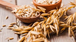 تریتیکاله چیست؟ (راهنمای کشت ترتیکاله)