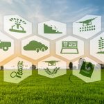 قوانین صادرات محصولات کشاورزی- راهنمای کامل