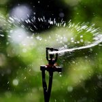 برای مقابله با تنش گرمایی گیاهان چه کنیم؟