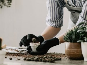 بهترین ترکیب خاک برای گیاهان خانگی کدام است؟