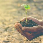 استفاده از هیومیک اسید در کشاورزی به چه صورت است؟