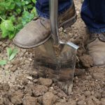 شناسایی 10 عامل که باعث زرد شدن برگ های گیاهان آپارتمانی می شود