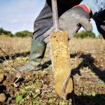 زمان قطع آبیاری در پاییز ؛  چه زمانی دیگر نیاز به آبیاری نیست؟