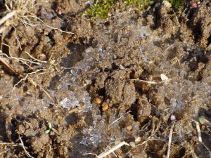 یخ آب زمستانه چیست و چه کاربردهایی دارد؟