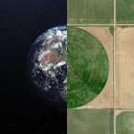 شاخص سطح برگ (LAI) چیست و کاربرد آن در کشاورزی کدام است؟