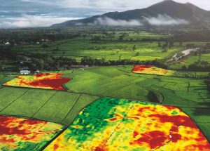 تصاویر ماهواره ای چیست و چه کاربردی در کشاورزی دارد؟