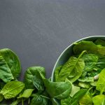 راهنمای کامل کاشت اسفناج؛ از کاشت تا برداشت!