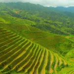 راهنمای صفر تا 100 اقدامات بهاره در کشاورزی