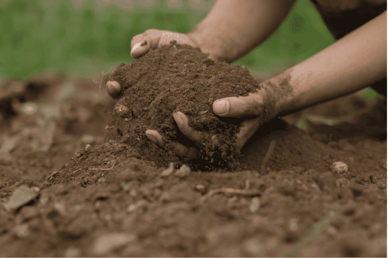 تعیین رطوبت خاک