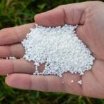 راهنمای کامل زمان مصرف کود نیترات کلسیم+نحوه مصرف
