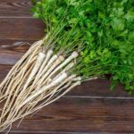 راهنمای کاشت جعفری + نکات مهم