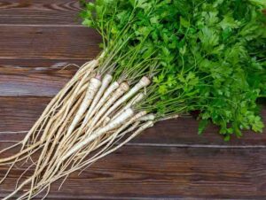 راهنمای کاشت جعفری + نکات مهم